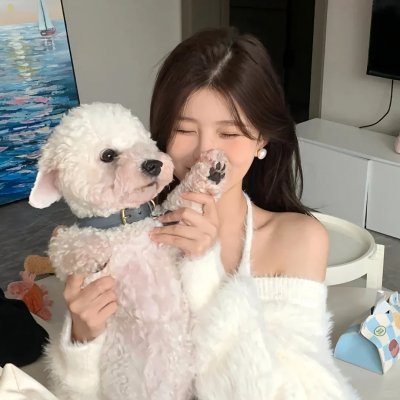 笨人一族